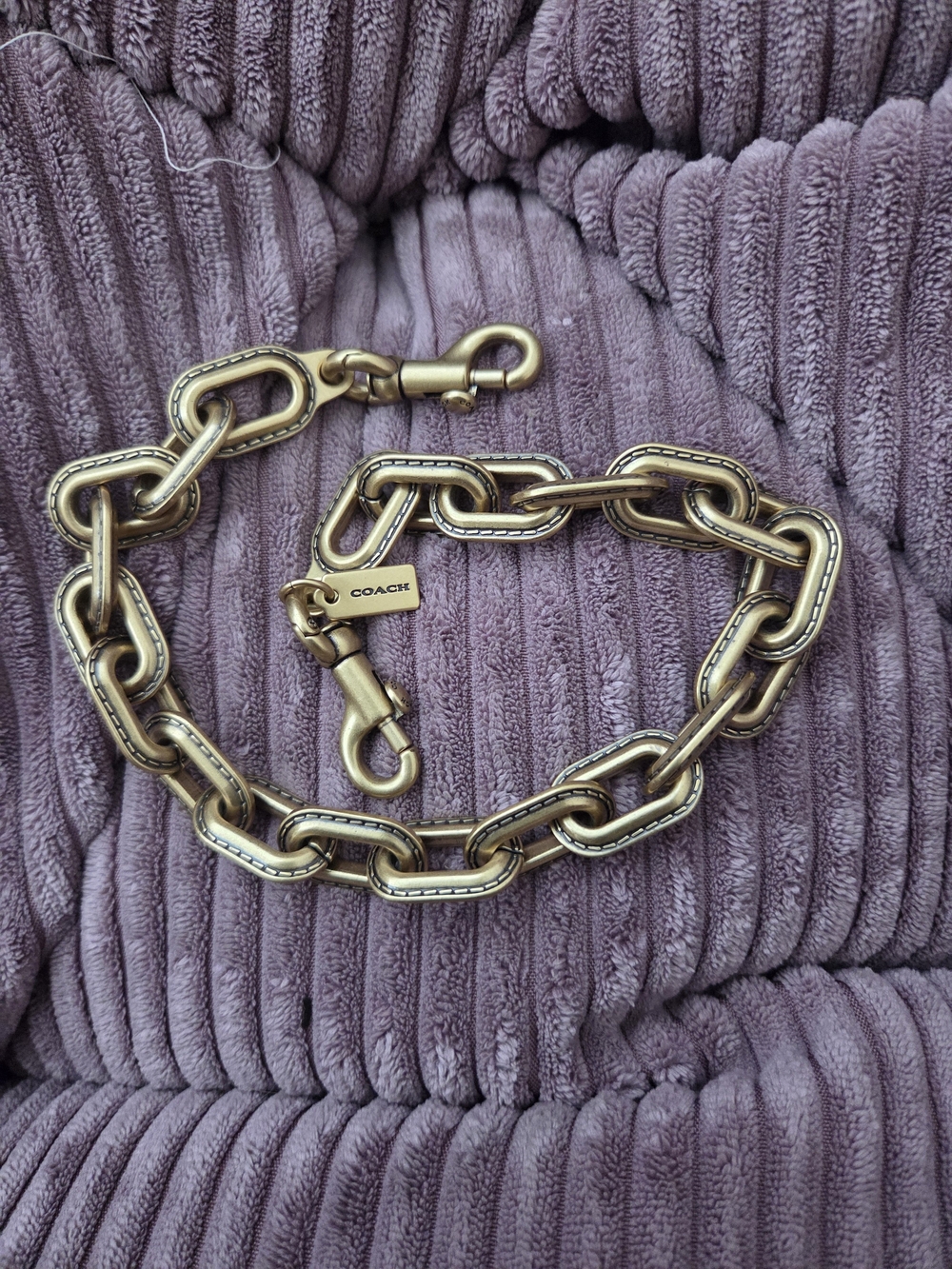 Coach Link Chain Strap